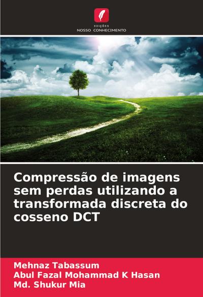 Compressão de imagens sem perdas utilizando a transformada discreta do cosseno DCT