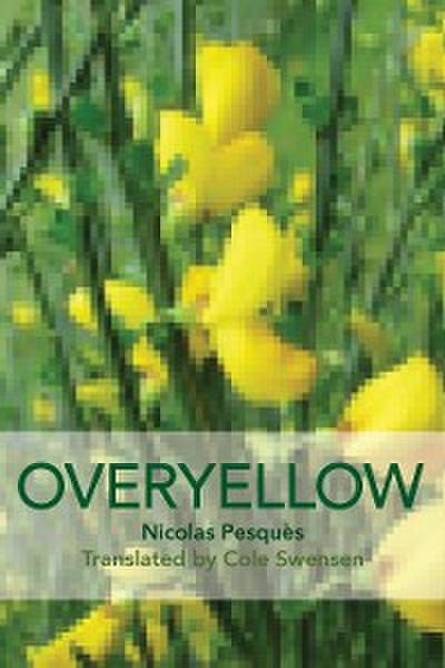 Overyellow, an Installation