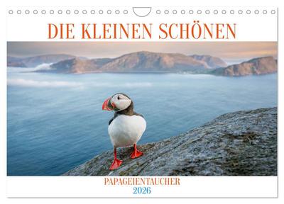 Die kleinen schönen (Wandkalender 2026 DIN A4 quer), CALVENDO Monatskalender