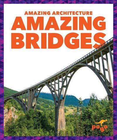Amazing Bridges