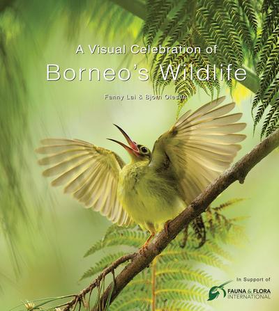 A Visual Celebration of Borneo’s Wildlife