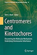 Centromeres and Kinetochores