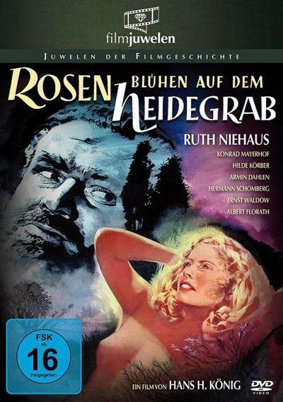 Rosen blühen auf dem Heidegrab