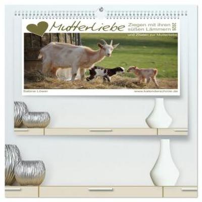 Mutterliebe - Ziegen mit ihren süßen Lämmern (hochwertiger Premium Wandkalender 2026 DIN A2 quer), Kunstdruck in Hochglanz