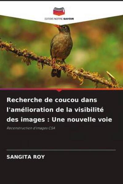 Recherche de coucou dans l’amélioration de la visibilité des images : Une nouvelle voie