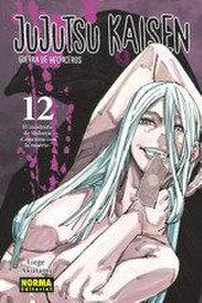 Jujutsu Kaisen 12