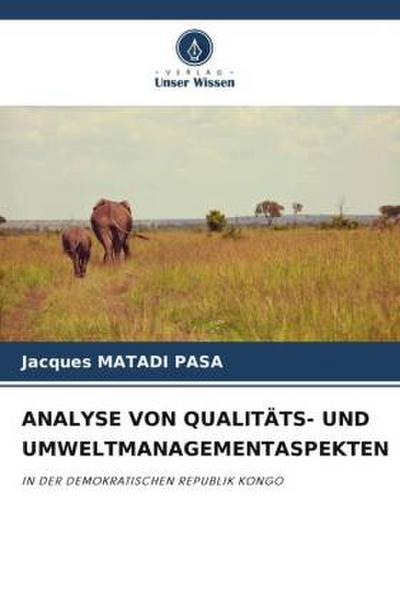 ANALYSE VON QUALITÄTS- UND UMWELTMANAGEMENTASPEKTEN