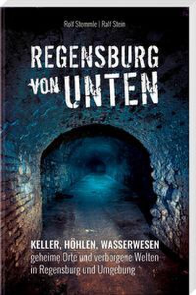 Regensburg von unten