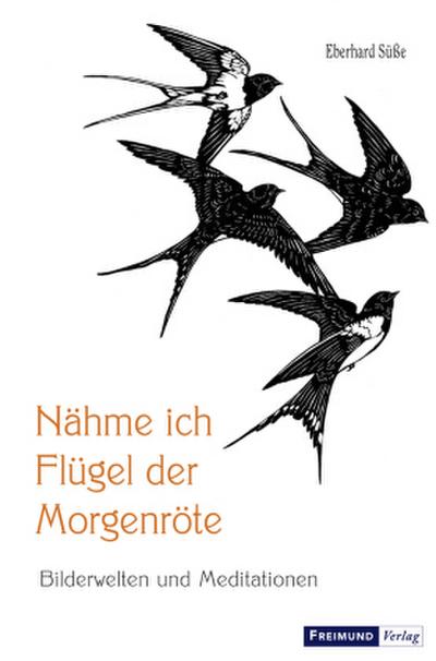 Nähme ich Flügel der Morgenröte