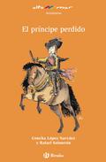 El príncipe perdido (ebook)