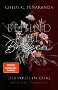 Behind the Broken. Der Vogel im Käfig