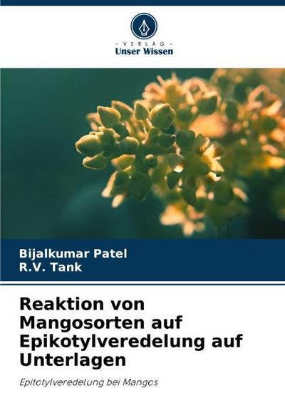Reaktion von Mangosorten auf Epikotylveredelung auf Unterlagen