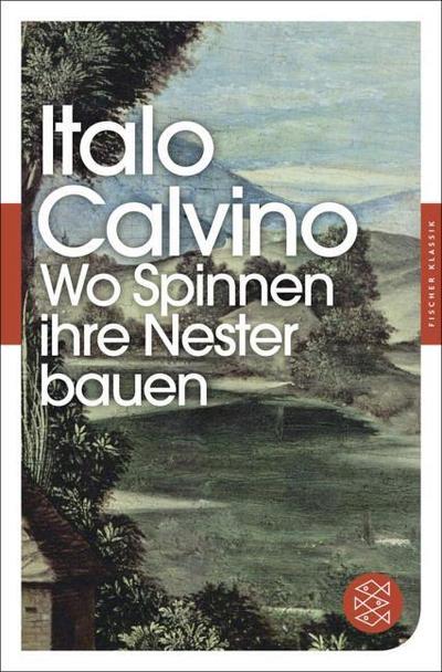 Wo Spinnen ihre Nester bauen