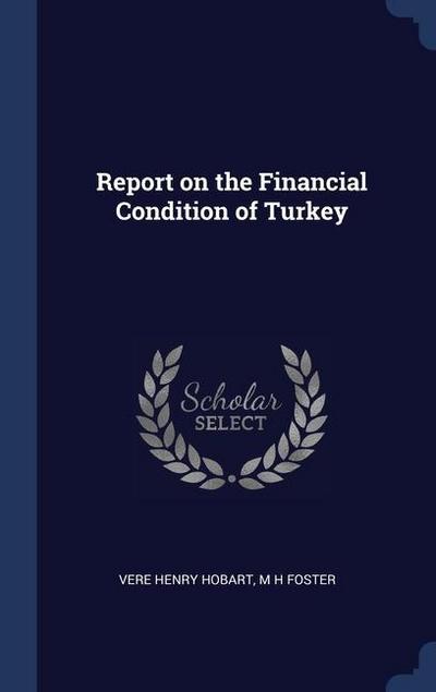 Report on the Financial Condition of Turkey