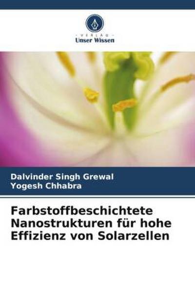 Farbstoffbeschichtete Nanostrukturen für hohe Effizienz von Solarzellen