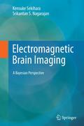 Electromagnetic Brain Imaging