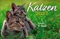 Katzen 2027 Eintragkalender