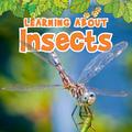 Learning About Insects
