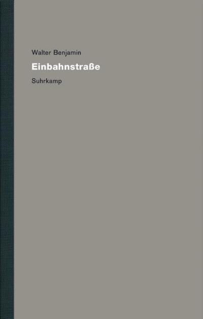Werke und Nachlaß. Kritische Gesamtausgabe