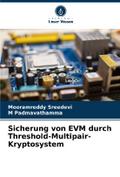 Sicherung von EVM durch Threshold-Multipair-Krypto