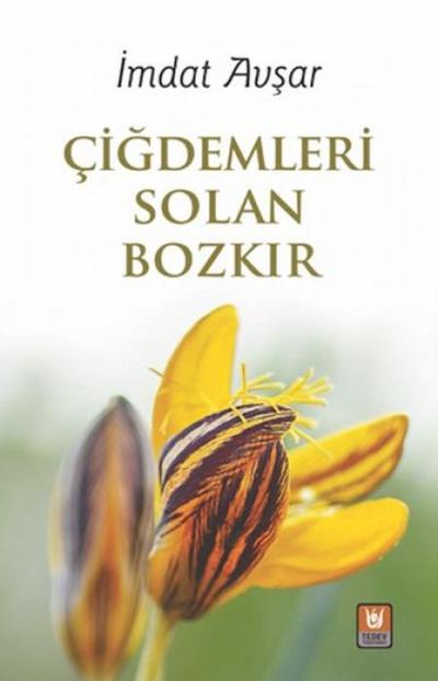 Cigdemleri Solan Bozkir