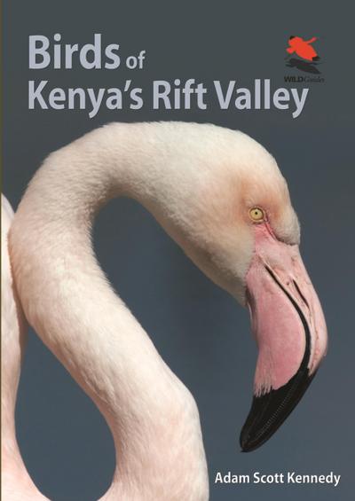 Birds of Kenya’s Rift Valley