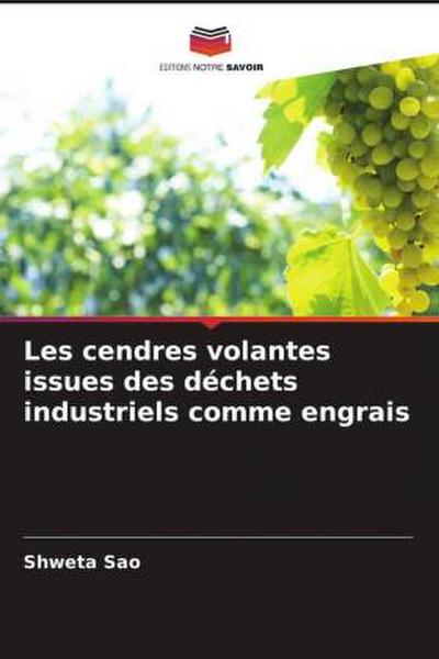 Les cendres volantes issues des déchets industriels comme engrais