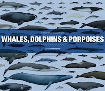 Whales, Dolphins and Porpoises