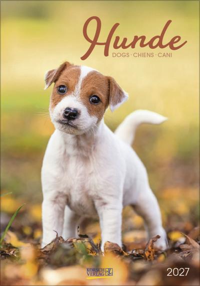 Hunde 2027