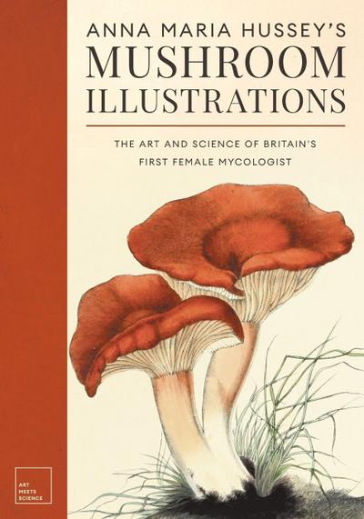 Anna Maria Hussey’s Mushroom Illustrations