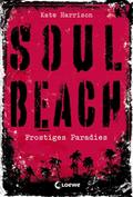 Soul Beach 1 - Frostiges Paradies