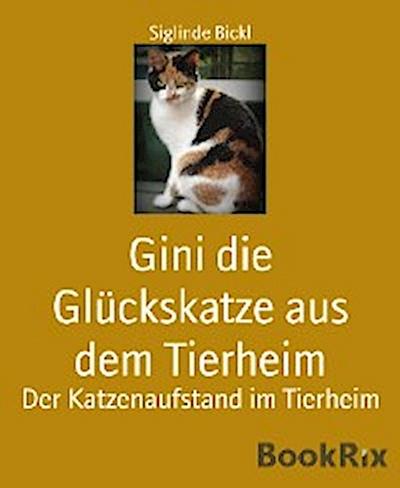 Gini die Glückskatze aus dem Tierheim