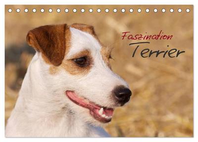 Faszination Terrier (Tischkalender 2024 DIN A5 quer), CALVENDO Monatskalender