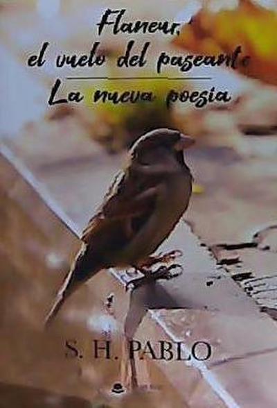 Flaneur, el vuelo del paseante