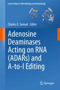 Adenosine Deaminases Acting on RNA (ADARs) and A-to-I Editing (Current Topics in Microbiology and Immunology, 353, Band 353)