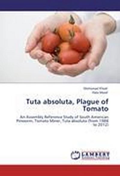 Tuta absoluta, Plague of Tomato