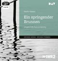 Ein springender Brunnen