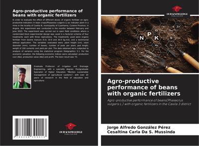 Agro-productive performance of beans with organic fertilizers
