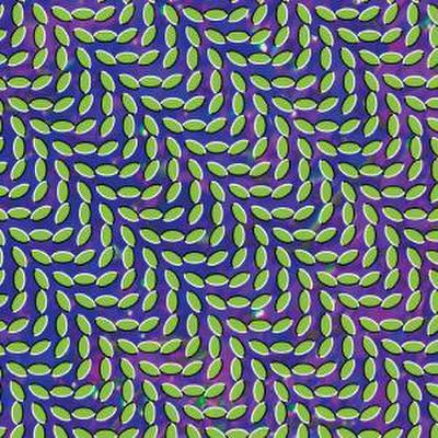 Merriweather Post Pavilion (Vinyl)