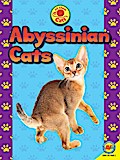 Abyssinian Cats
