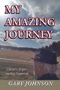 My Amazing Journey