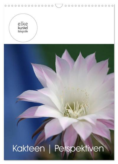Kakteen Perspektiven (Wandkalender 2026 DIN A3 hoch), CALVENDO Monatskalender