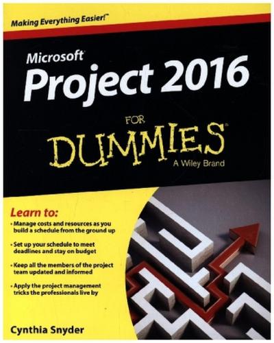 Project 2016 For Dummies