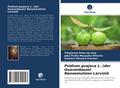 Psidium guajava L. (der Guavenbaum) Nanoemulsion L