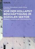 Vor dem Kollaps!? Beschäftigung im sozialen Sektor von Christian Hohendanner | Buch