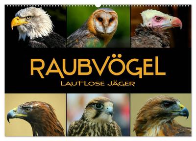 Raubvögel - lautlose Jäger (Wandkalender 2026 DIN A2 quer), CALVENDO Monatskalender