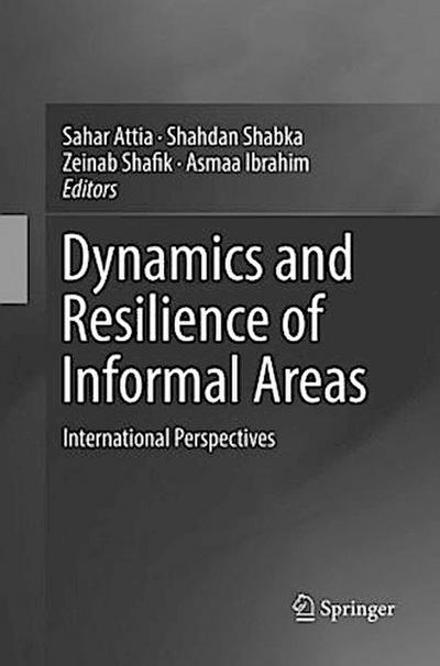 Dynamics and Resilience of Informal Areas