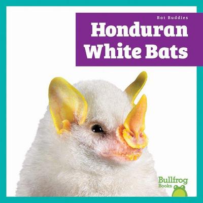 Honduran White Bats