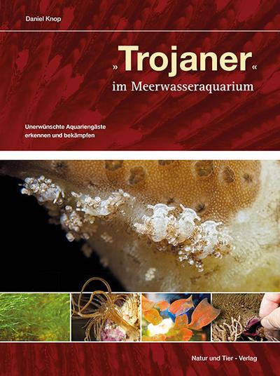 ’Trojaner’ im Meerwasseraquarium