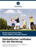 Methodischer Leitfaden für die Beratung